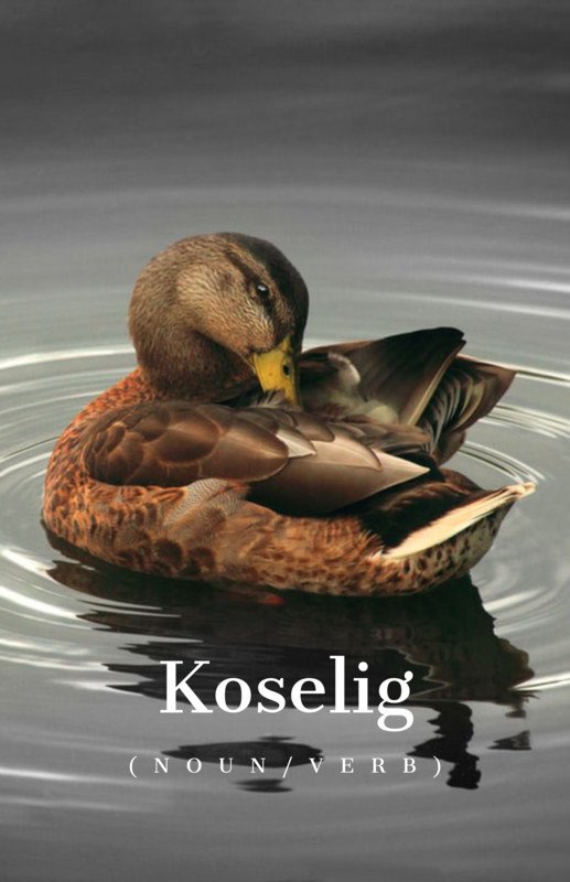 Koselig (noun/verb) Documentary Film - Special Mention Award (United States)