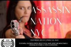 Assassin Nation NYC - Best Action comedy, Best Editing & Outstanding Actress Award for "Molly Gazay" (United States)
